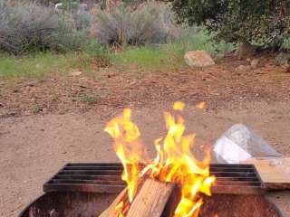 Barton Flats Campground