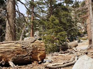 Round Valley Campsite — Mount San Jacinto State Park