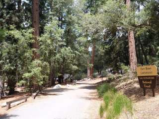 Fern Basin Campground