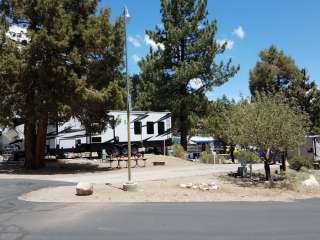 Pine Tree RV Park