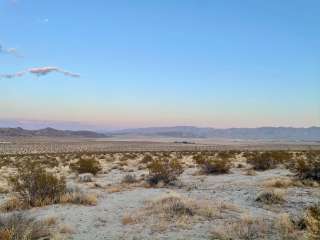 Wanderlust Getaways Joshua Tree