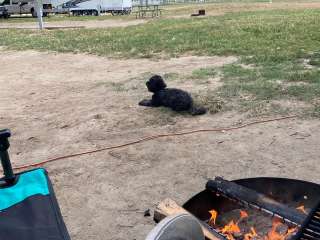 Limber Pine Campground - TEMPORARILY CLOSED