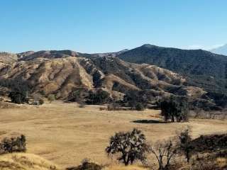 Bogart County Park