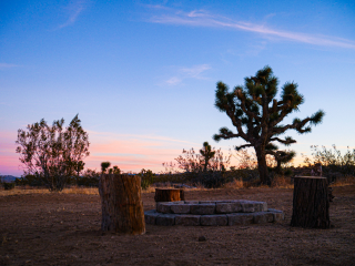 15 min to Joshua Tree National Park!