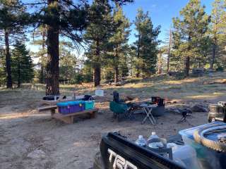 San Bernardino National Forest Santa Rosa Springs Campground