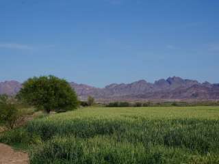 Cibola National Wildlife Refuge - East