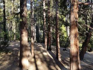 Idyllwild Regional Park