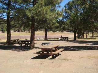 Juniper Springs Group Campground