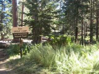 Deer Group Campground