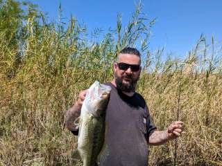 Taylor Lake Boat-In Campground — Picacho State Recreation Area