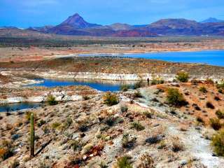 Alamo Lake State Park