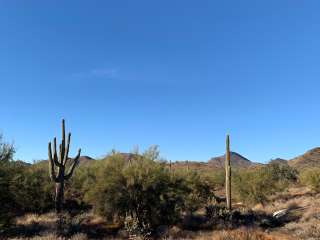 Cave Creek Regional Park