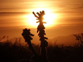 Kofa Queen Canyon