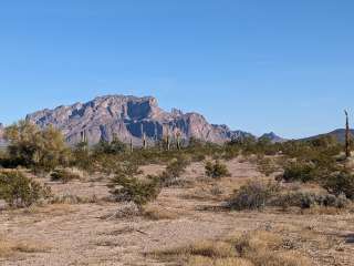 BLM King Valley Road Free Dispersed