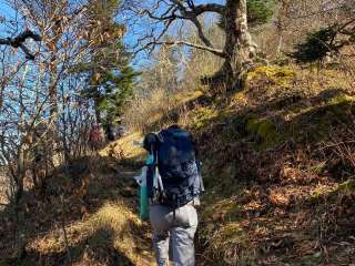 Icewater Spring Shelter — Great Smoky Mountains National Park