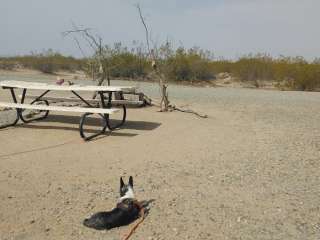 La Paz County Centennial Park