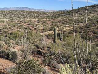 Sophie's Flat Trailhead