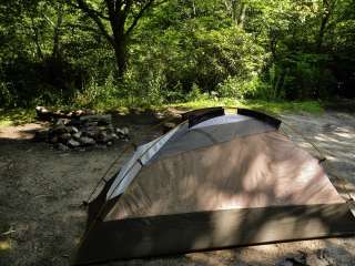 Blue Ridge Roadside Campsites