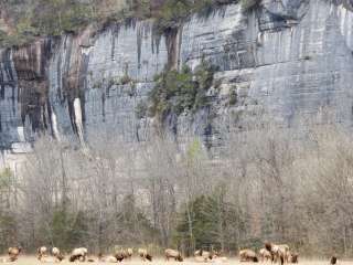 Steel Creek Campground — Buffalo National River