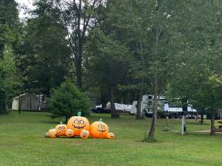 Shellmound RV Resort & Campground