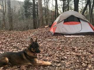 Redding Campground