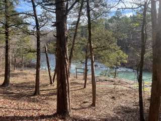 Bayou Bluff Recreation Area Campground