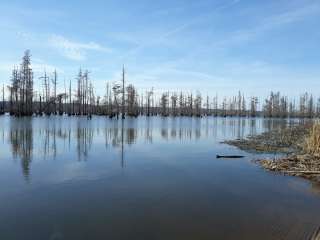 Green's Lake Camp