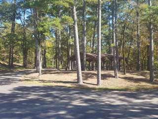 COE Nimrod Lake Carter Cove Campground