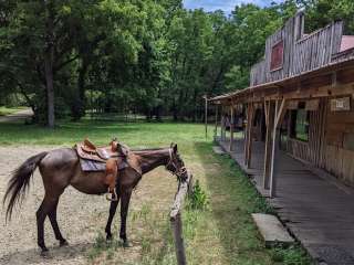 Lonesome D Horse Camp RV Park