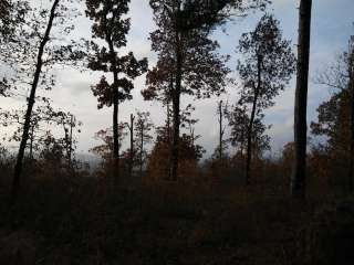 Ozark National Forest Fairview Recreation Area