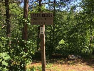 Cedar Glade Primitive Camping — Buffalo National River