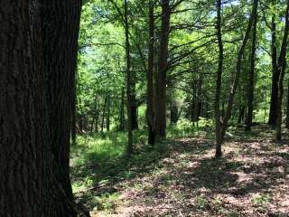 Adair Cemetery Primitive Campsite — Buffalo National River