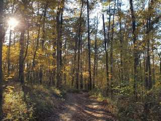 Moccasin Gap Horse Trail NF Campground