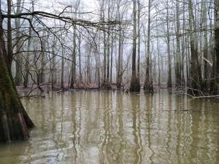 Henry Gray Hurricane Lake Wildlife Management Area