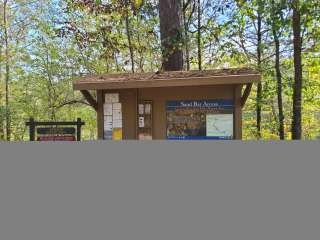 Sandbar Area Campsites — Cossatot River State Park - Natural Area