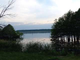 Bois D'Arce Lake Peninsula 