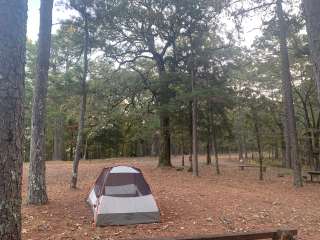 Fourche Mountain Campground