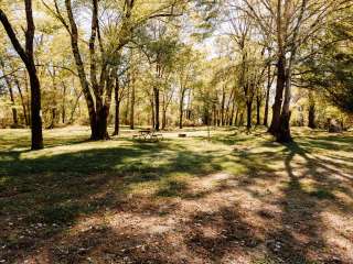 Ouachita River Haven