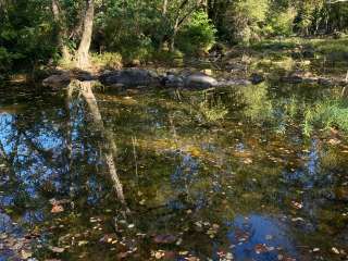 Lucky’s Campground Canoe & Kayak Rental