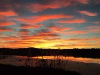 Cox Creek Lake Campground 