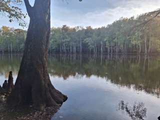 Dagmar Wildlife Management Area