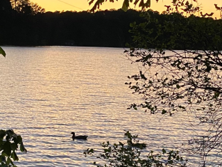 Stone Mountain Park Campground