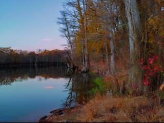 North Webb Lake Camp