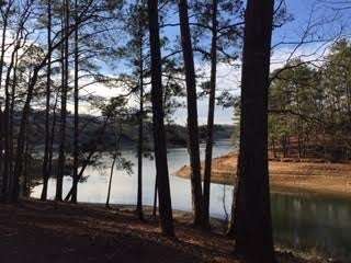 Red Top Mountain State Park