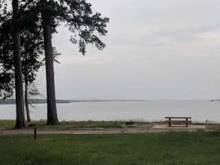 Rocky Point(wright Patman Dam)