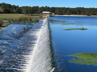 Reed Bingham State Park