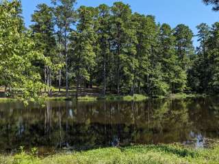 Elliott Lake Rec Area