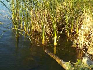 Lake Afton Park