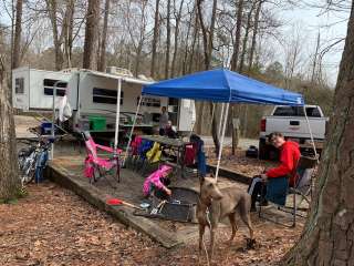 Hard Labor Creek State Park