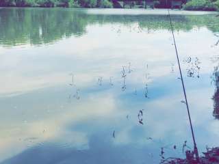 Walleye Point Campground — Lovewell State Park